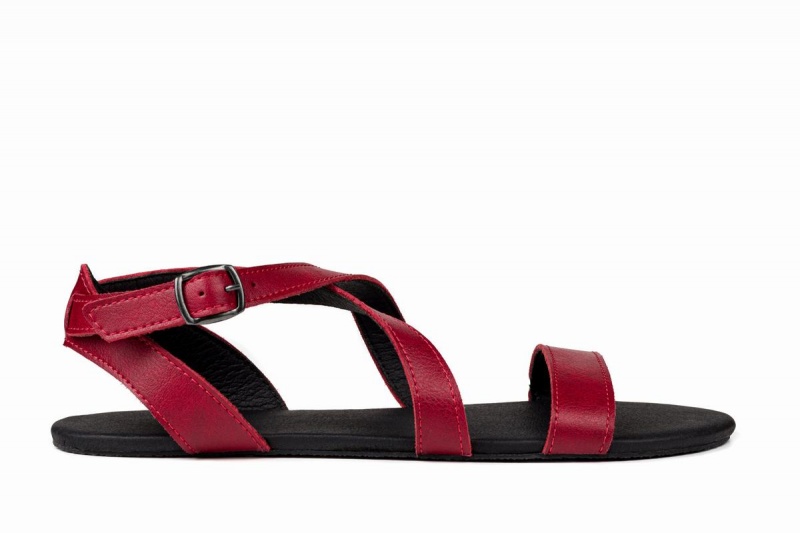 Sandales Ahinsa Hava Barefoot Bordeaux Femme | LAA-50961332