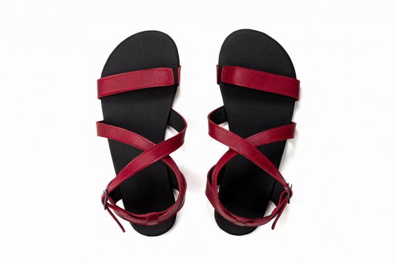 Sandales Ahinsa Hava Barefoot Bordeaux Femme | LAA-50961332