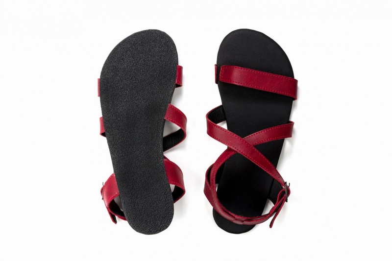 Sandales Ahinsa Hava Barefoot Bordeaux Femme | LAA-50961332