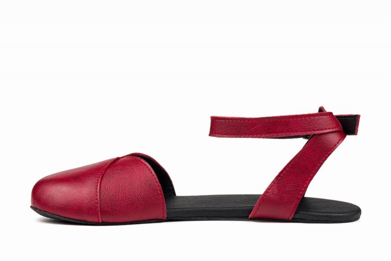 Ballerine Ahinsa Barefoot Bordeaux Femme | BQI-62928728