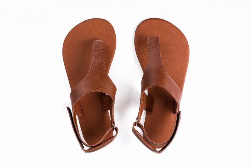 Sandales Ahinsa Simple Barefoot Marron Homme | SKD-44824865