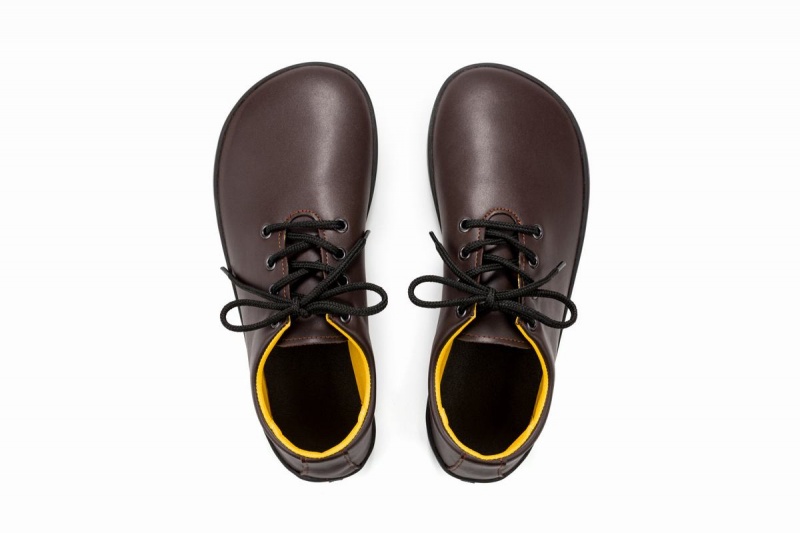 Chaussures Casual Ahinsa Ananda Barefoot Marron Homme | DNB-98893939